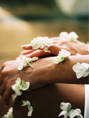  Shop Gut Health Products