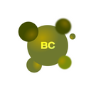 B-Complex