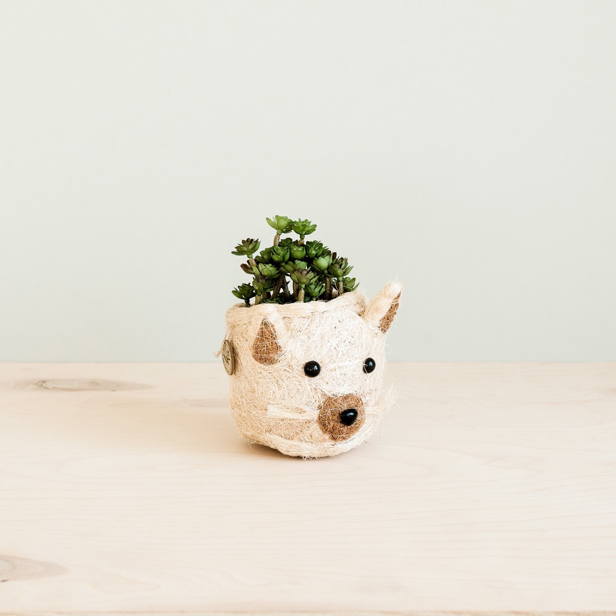 Cat Succulent Planter - Animal Head Planters | LIKHÂ by LIKHÂ