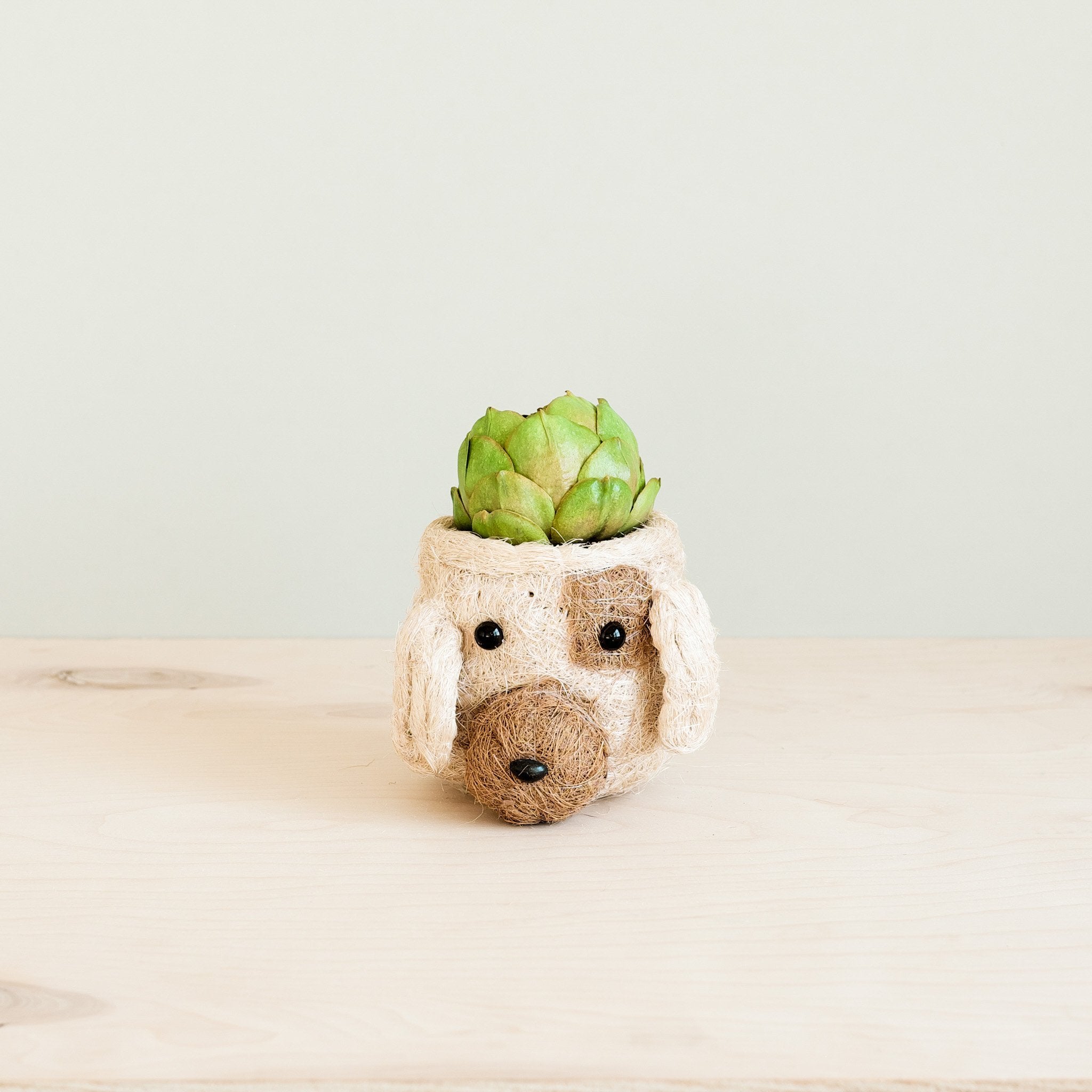 Dog Succulent Planter - Animal Head Plant Pot | LIKHÂ by LIKHÂ