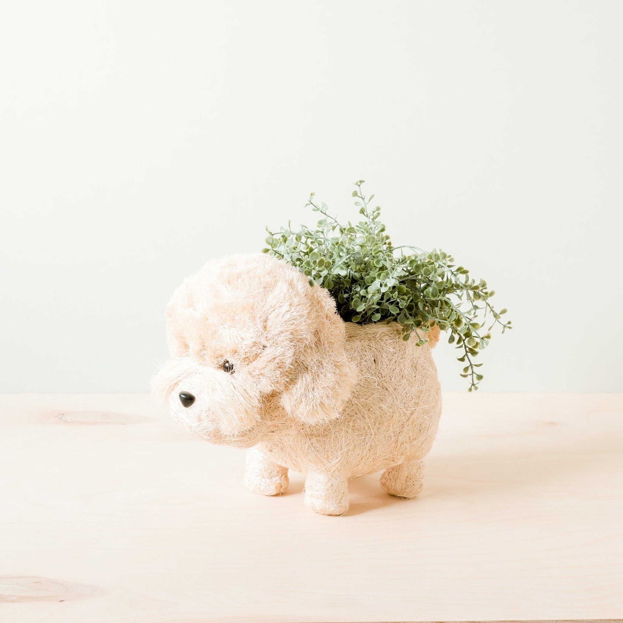 Poodle Planter - Coco Coir Pots | LIKHÂ by LIKHÂ