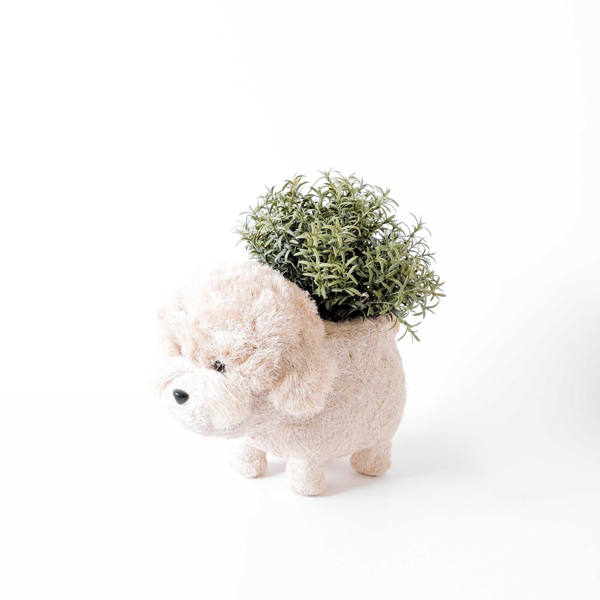Poodle Planter - Coco Coir Pots | LIKHÂ by LIKHÂ