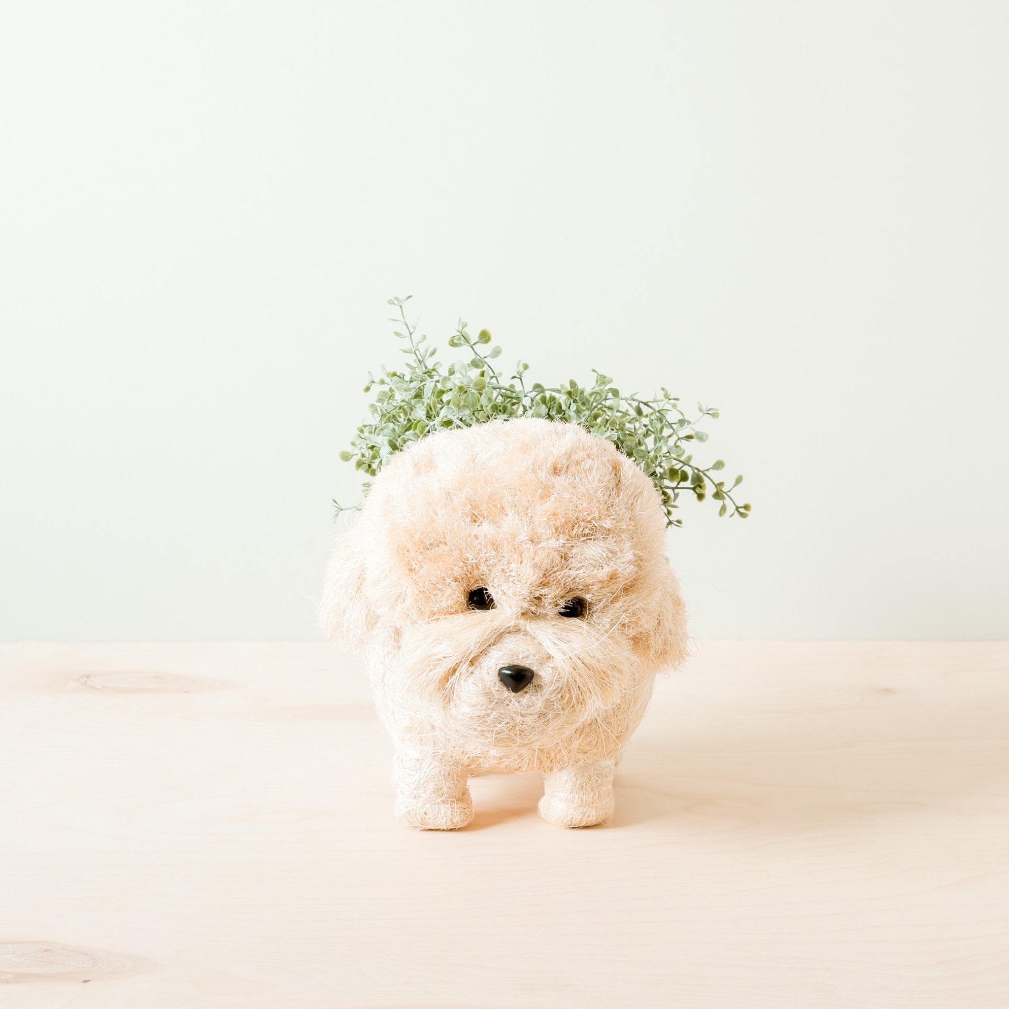 Poodle Planter - Coco Coir Pots | LIKHÂ by LIKHÂ