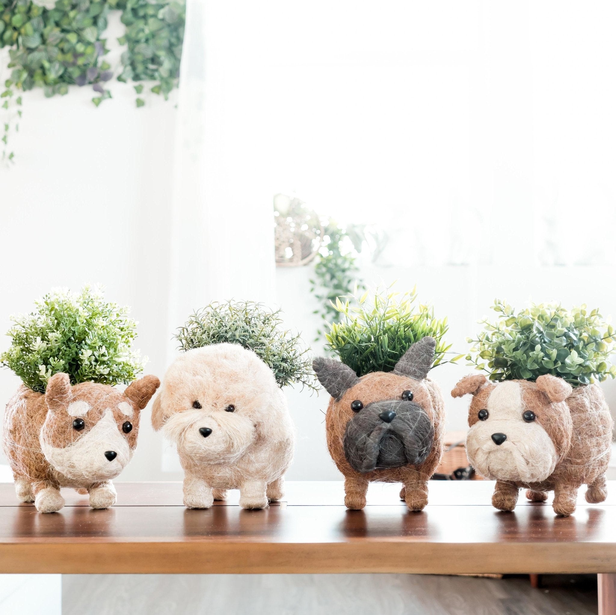 Poodle Planter - Coco Coir Pots | LIKHÂ by LIKHÂ