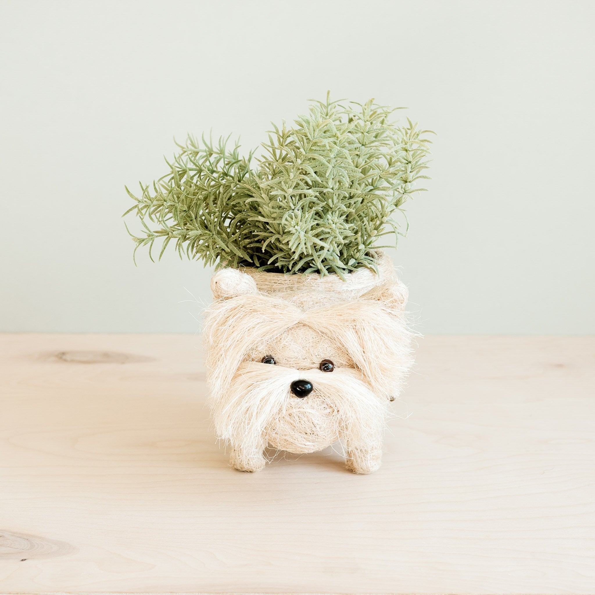 Westie Planter - Coco Coir Pots | LIKHÂ