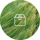 <em>100%</em> Secure